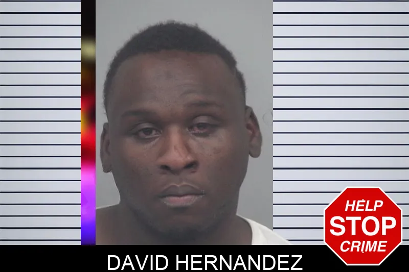 David Hernandez Mugshots