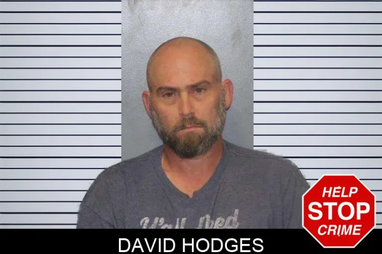 David Hodges