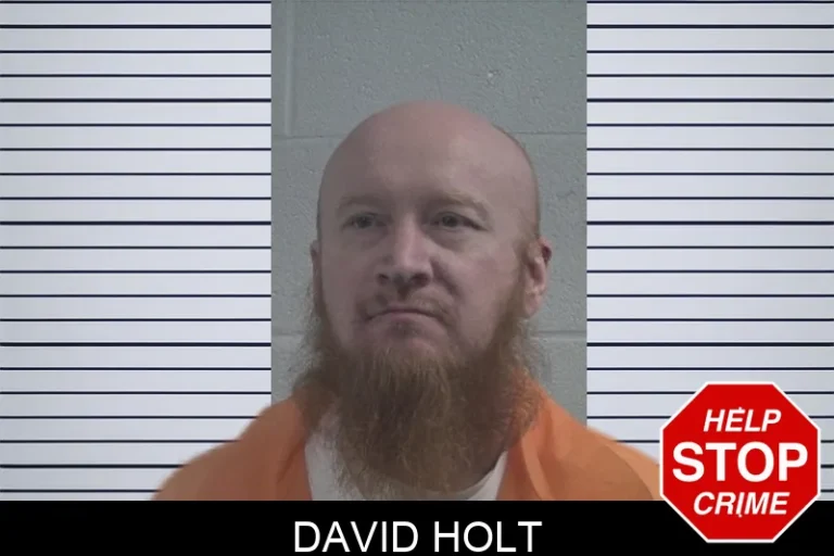 David Holt