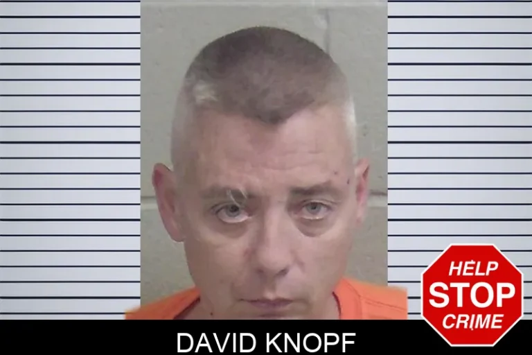 David Knopf