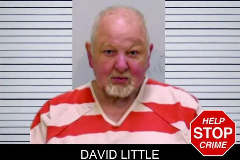 David Little