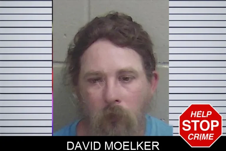 David Moelker