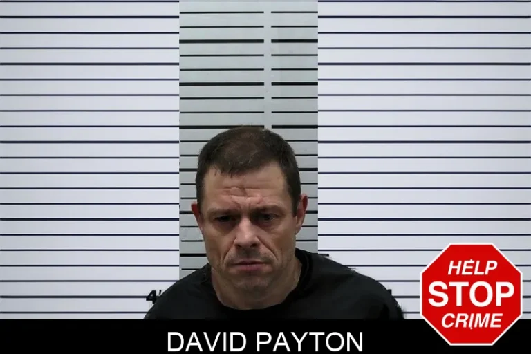 David Payton