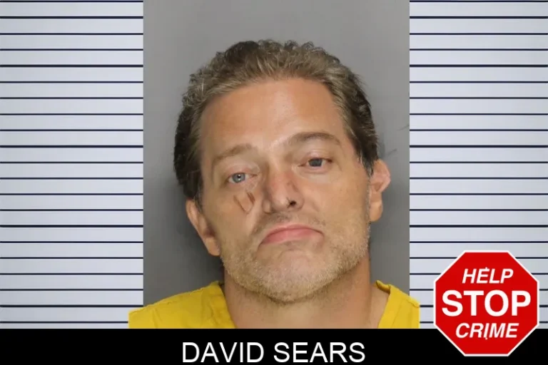 David Sears