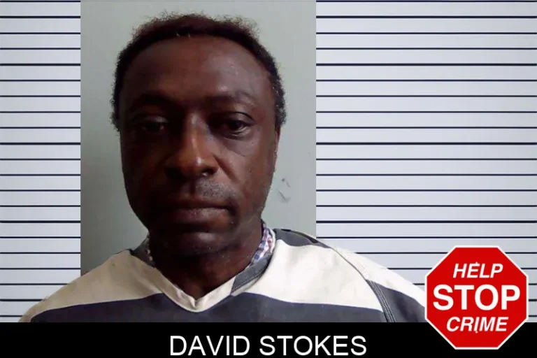 David Stokes