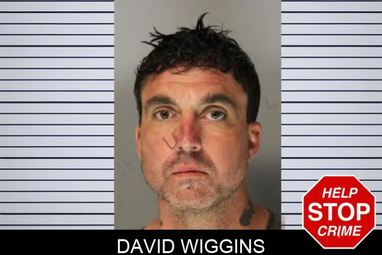 David Wiggins