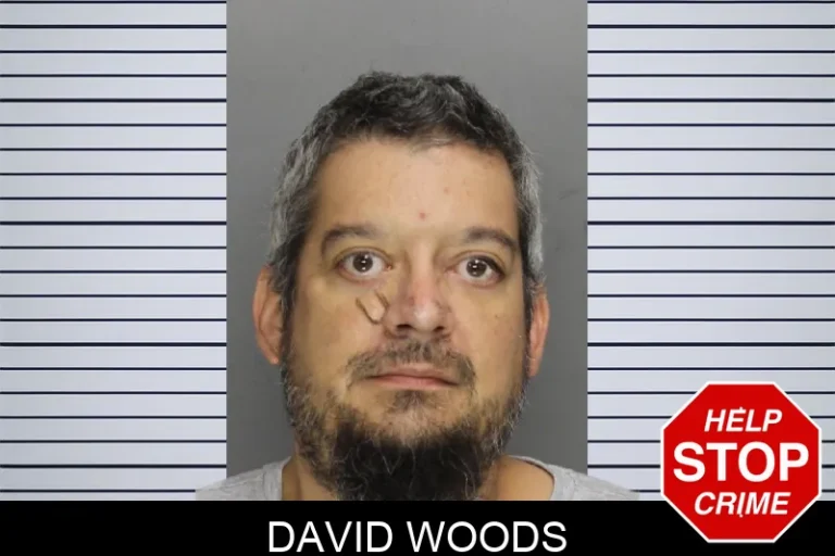David Woods