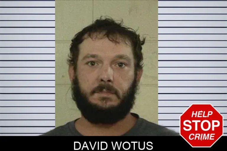 David Wotus