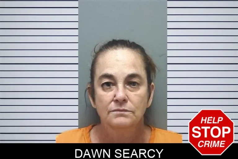 Dawn Searcy mugshot – Cherokee County , Georgia Dawn Searcy