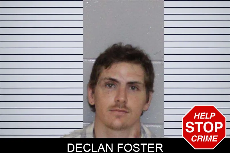 Declan Foster mugshot
