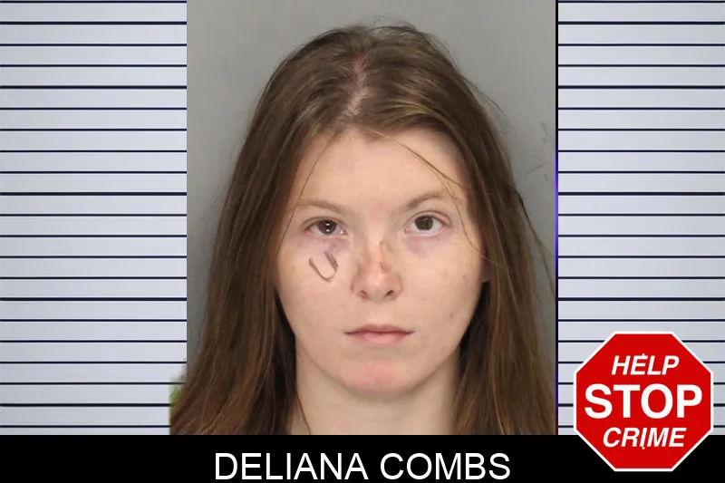 Deliana Combs mugshot – Cobb County , Georgia Deliana Combs mugshot