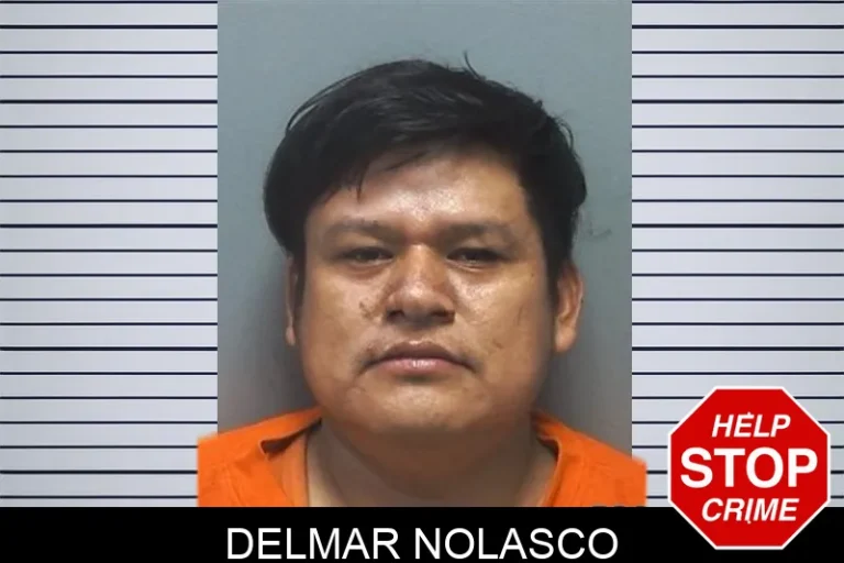 Delmar Nolasco mugshot – Cherokee County , Georgia Delmar Nolasco