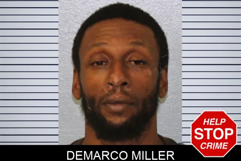 Demarco Miller mugshot – Mcintosh County , Georgia Demarco Miller