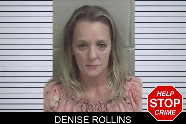Denise Rollins mugshot – Wayne County , Georgia Denise Rollins