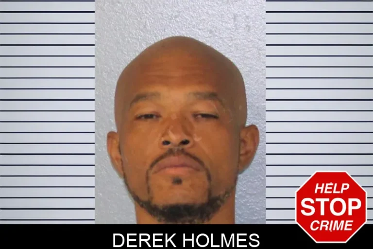 Derek Holmes mugshot – Mcintosh County , Georgia Derek Holmes
