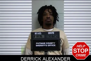 Derrick Alexander mugshot
