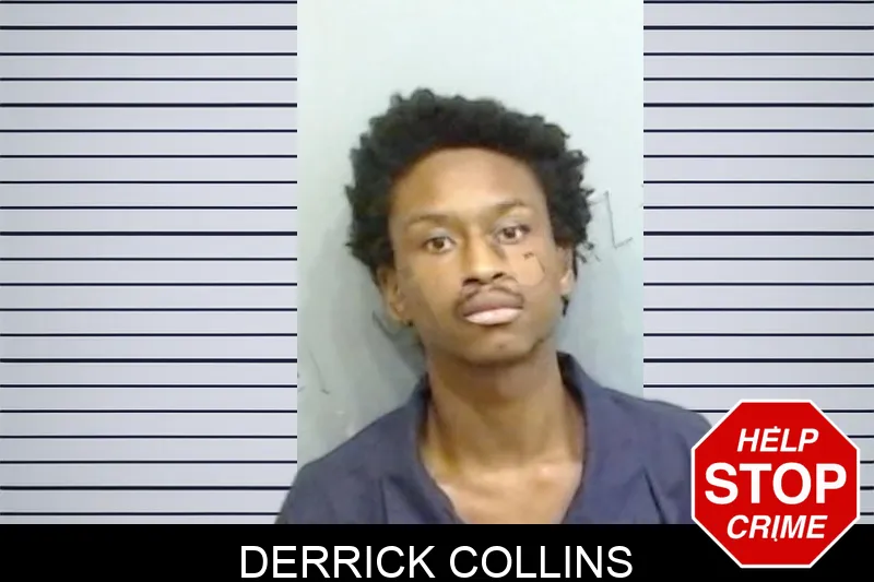 Derrick Collins mugshot – Fulton County , Georgia Derrick Collins mugshot