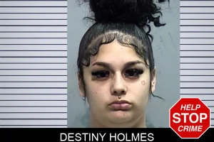 Destiny Holmes mugshot