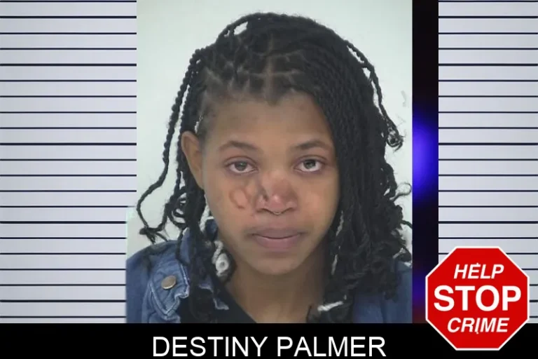 Destiny Palmer mugshot β Fayette County , Georgia Destiny Palmer