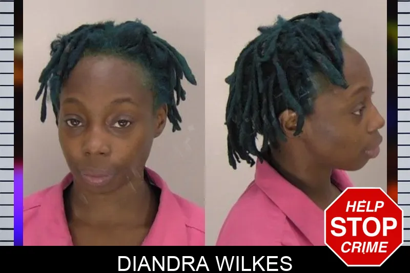Diandra Wilkes Mugshots