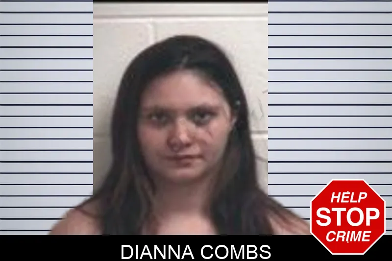 Dianna Combs Mugshots