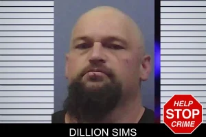 Dillion Sims mugshot