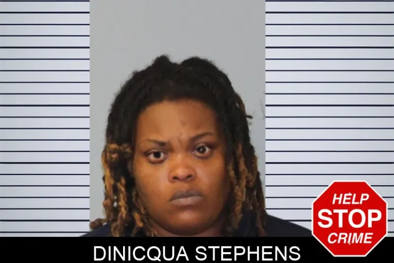 Dinicqua Stephens mugshot – Mcintosh County , Georgia Dinicqua Stephens