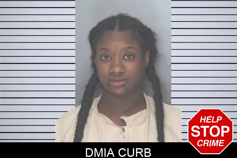 Dmia Curb Mugshots