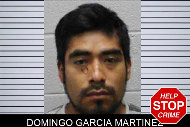 Domingo Garcia Martinez