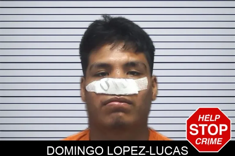 Domingo Lopez-Lucas mugshot – Cherokee County , Georgia Domingo Lopez-Lucas