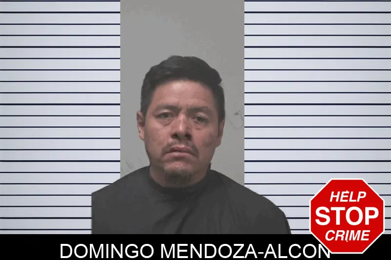 Domingo Mendoza-Alcon mugshot