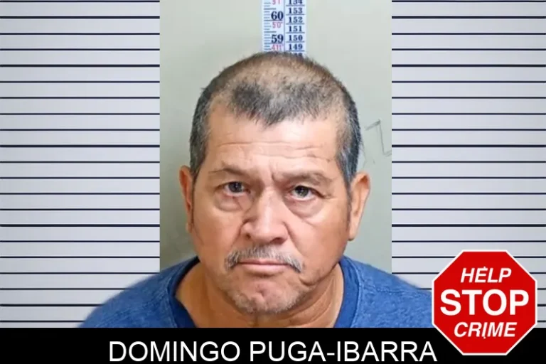 Domingo Puga-Ibarra