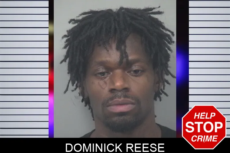 Dominick Reese mugshot – Gwinnett County , Georgia Dominick Reese mugshot