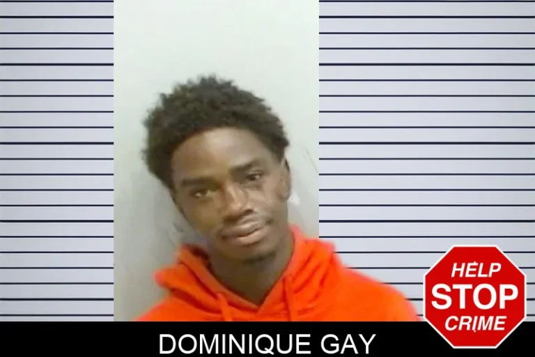 Dominique Gay