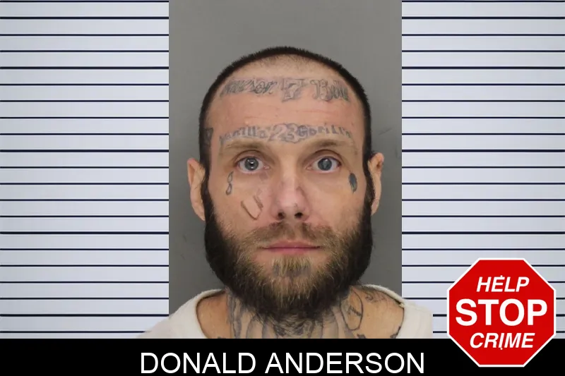 Donald Anderson mugshot
