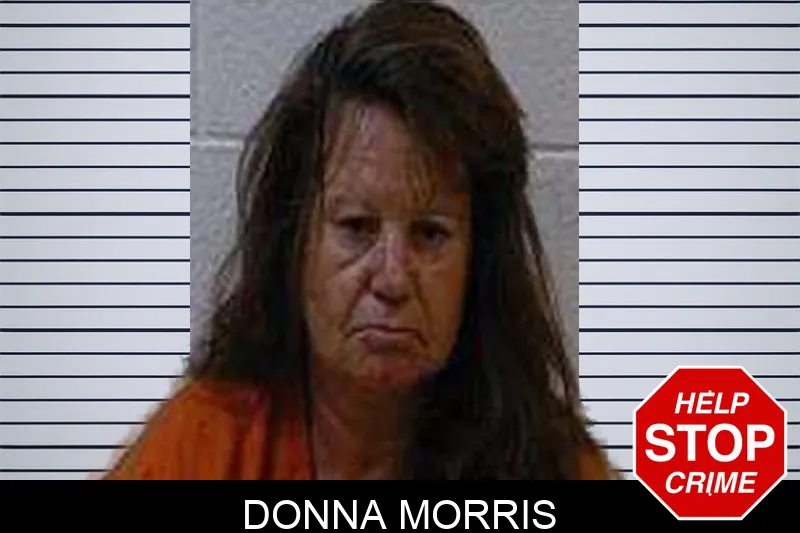 Donna Morris mugshot