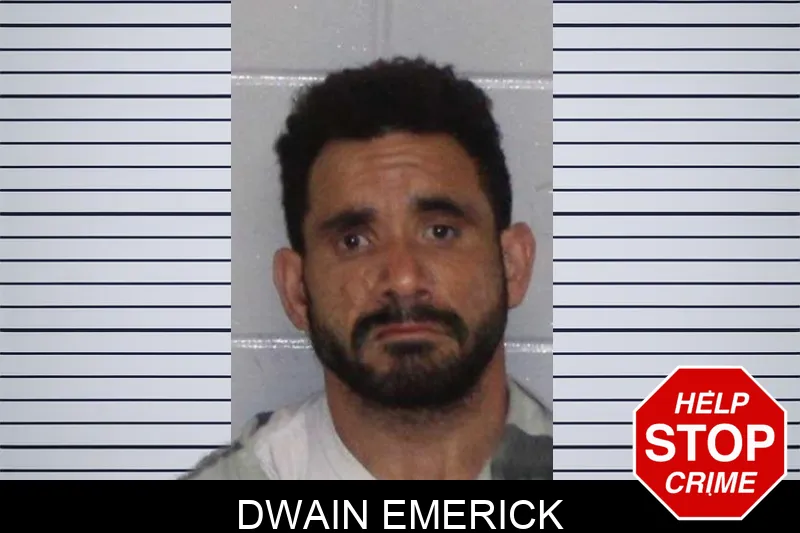Dwain Emerick Mugshots