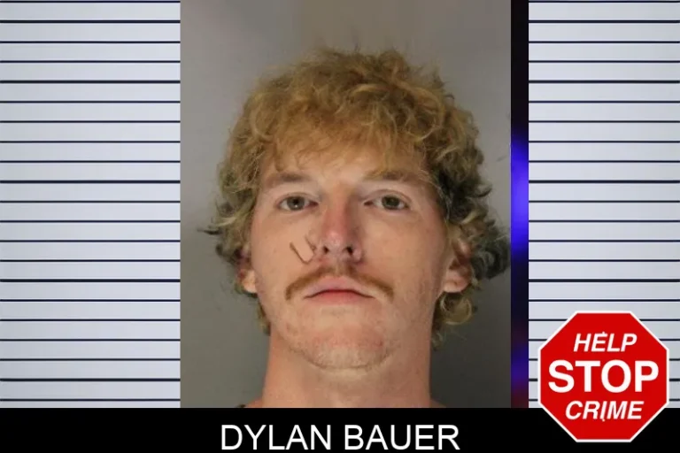 Dylan Bauer