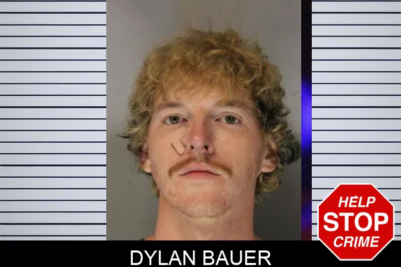 Dylan Bauer mugshot – Hall County , Georgia Dylan Bauer mugshot