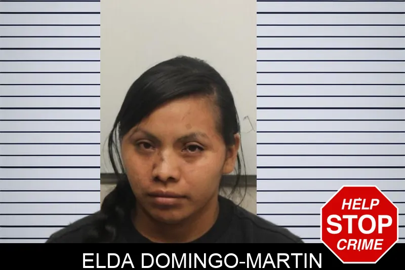 Elda Domingo-Martin mugshot