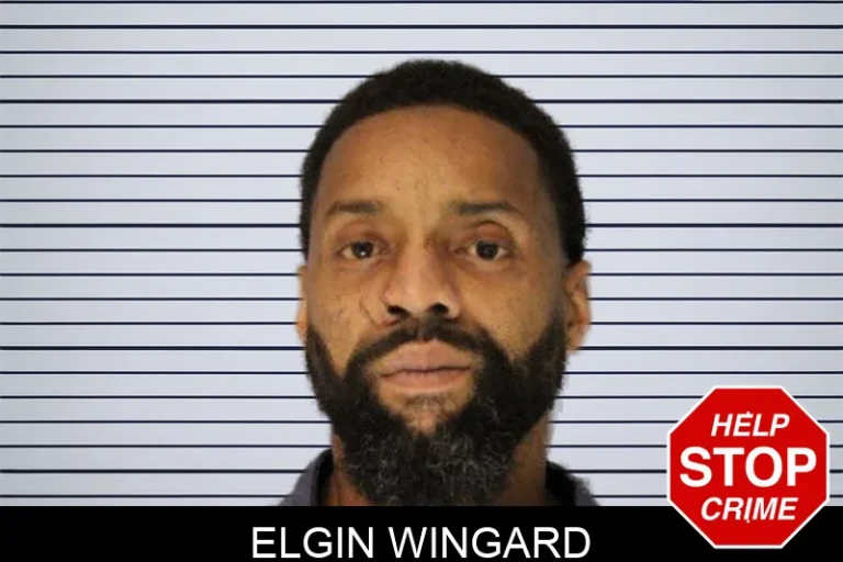 Elgin Wingard