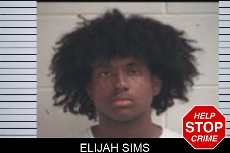 Elijah Sims