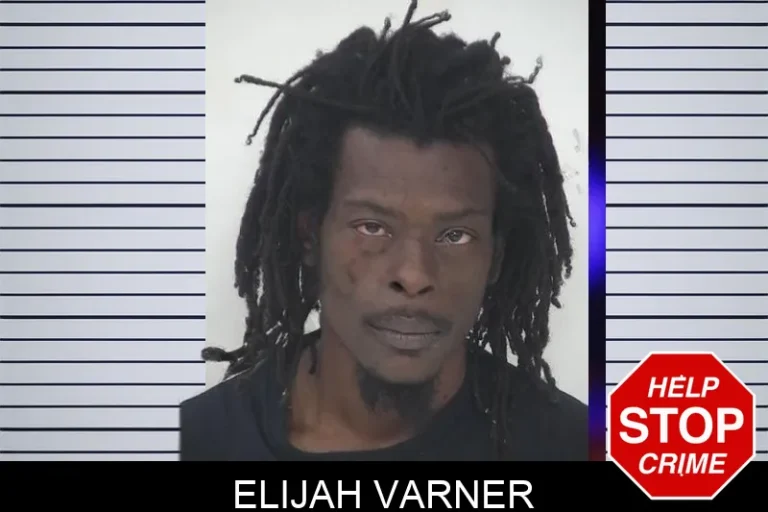 Elijah Varner mugshot – Fayette County , Georgia Elijah Varner