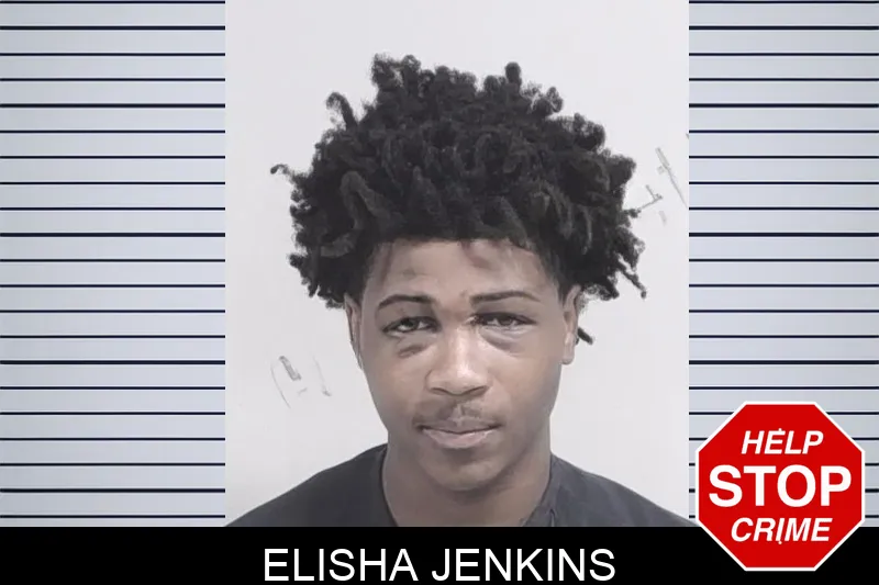 Elisha Jenkins mugshot – Lowndes County , Georgia Elisha Jenkins mugshot