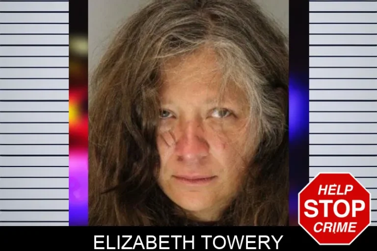 Elizabeth Towery mugshot β Hall County , Georgia Elizabeth Towery