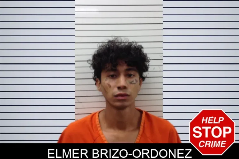 Elmer Brizo-Ordonez