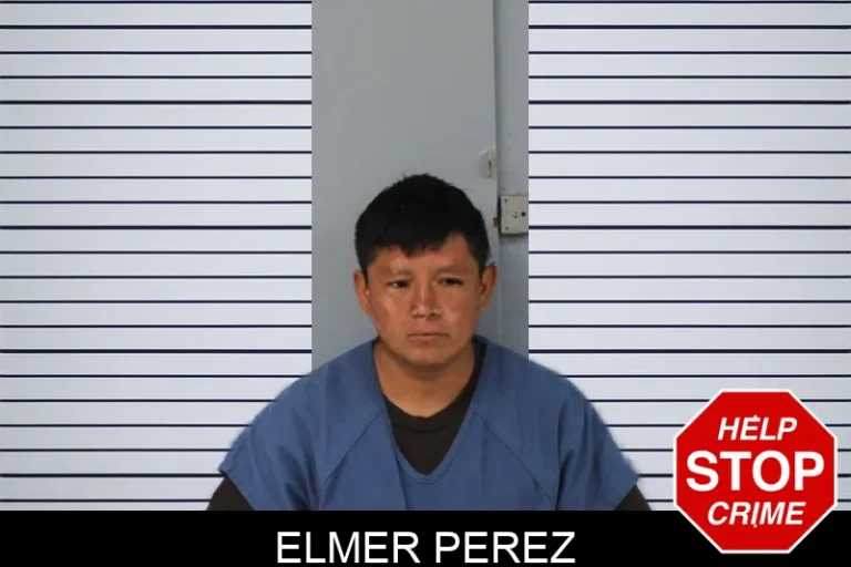 Elmer Perez mugshot – Mcintosh County , Georgia Elmer Perez