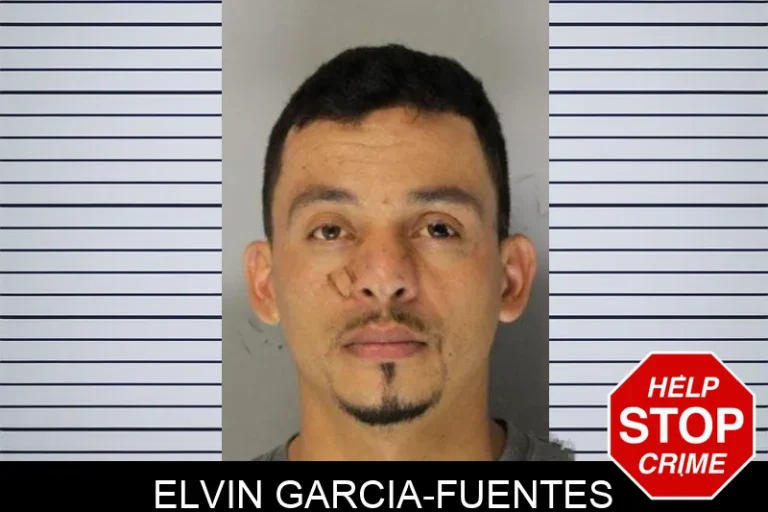 Elvin Garcia-Fuentes