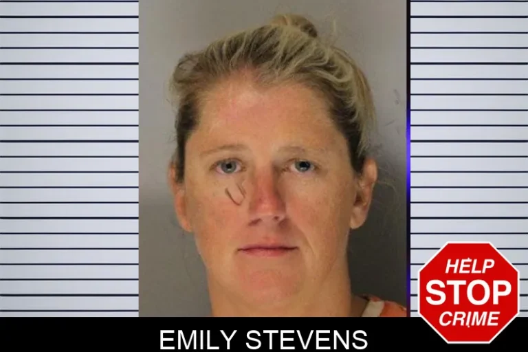 Emily Stevens mugshot – Hall County , Georgia Emily Stevens
