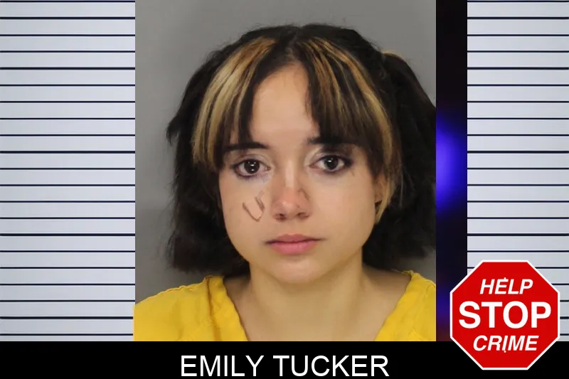 Emily Tucker mugshot